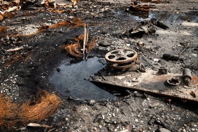 Odbiór i wywóz osadów ściekowych z firm i zakładów przemysłowych